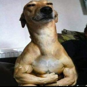 Meet your Posher, Alberto